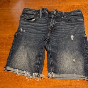 American Eagle Outfitters Blue Denim Shorts